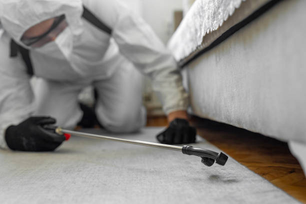 Professional Termite Control technician working in Elwood, NY